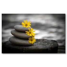 Αφίσα (βράχια, πέτρες, βότσαλα, γκρι, λουλούδι, κίτρινος, μαύρο και άσπρο)